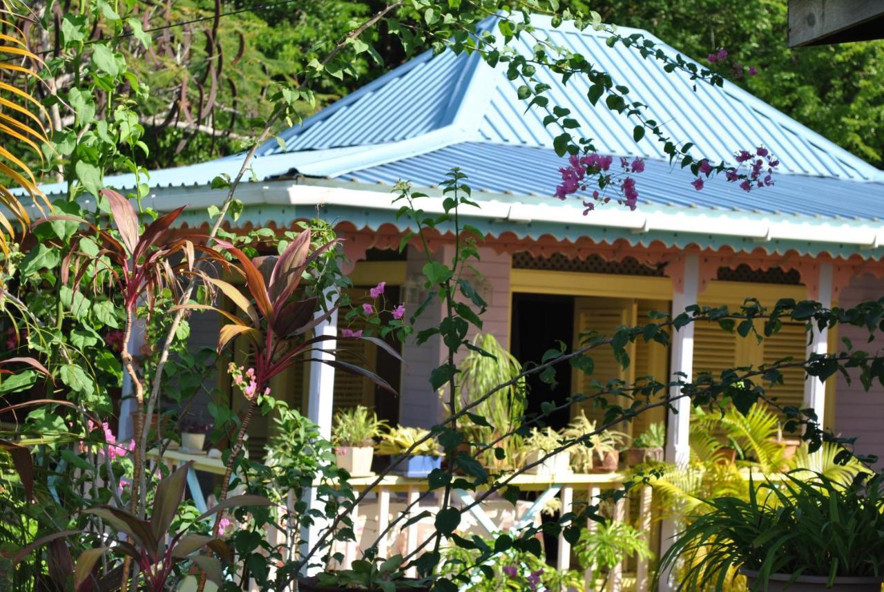 Villa Caribbean Dream ビュー・フォール エクステリア 写真